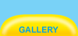 Our Gallery